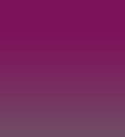 Crimson Grey Gradient Lens