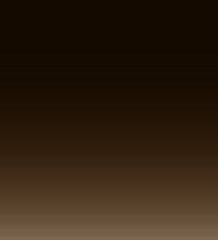 Dark Brown Gradient Lens