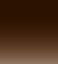Medium Brown Gradient Lens
